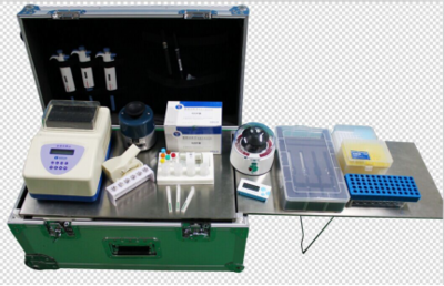 喜報 | 上?？祆`推出多重專利基因試紙卡，引領精準檢測新篇章