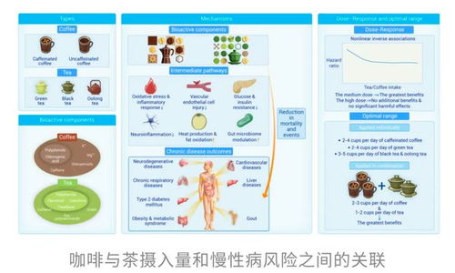 咖啡與茶再添“續命”實錘 哈佛研究揭示健康長壽的秘密